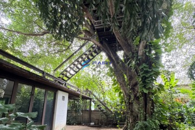 S__8077450_NEW