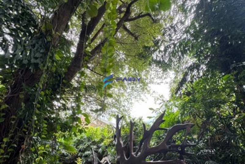 S__8077456_NEW