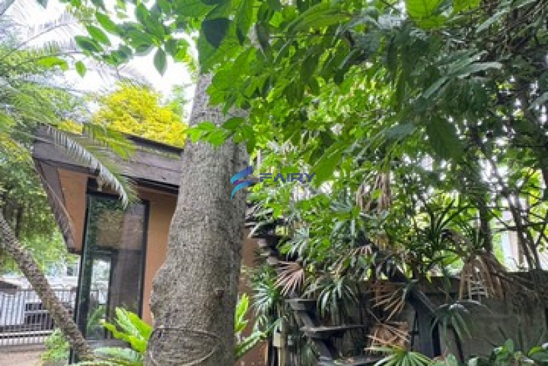 S__8077465_NEW