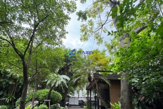 S__8077368_NEW
