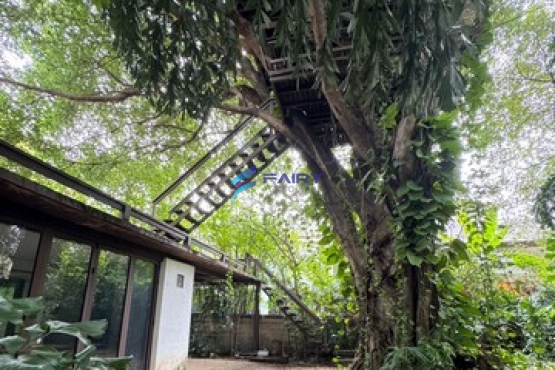S__8077450_NEW