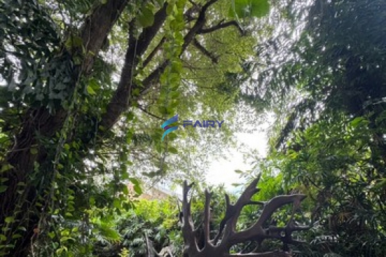 S__8077456_NEW