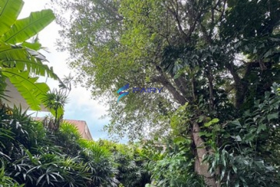 S__8077458_NEW