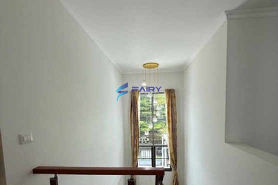 532053413_NEW