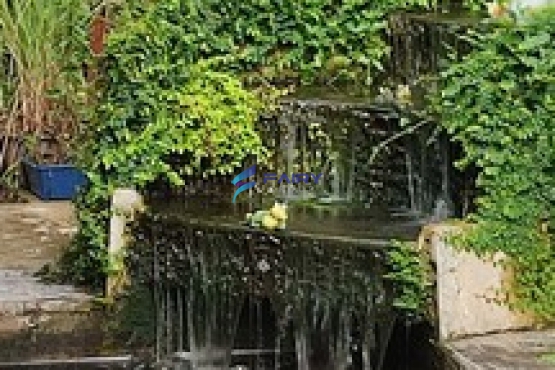 643629_0_NEW